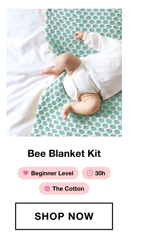 Bee Blanket Kit