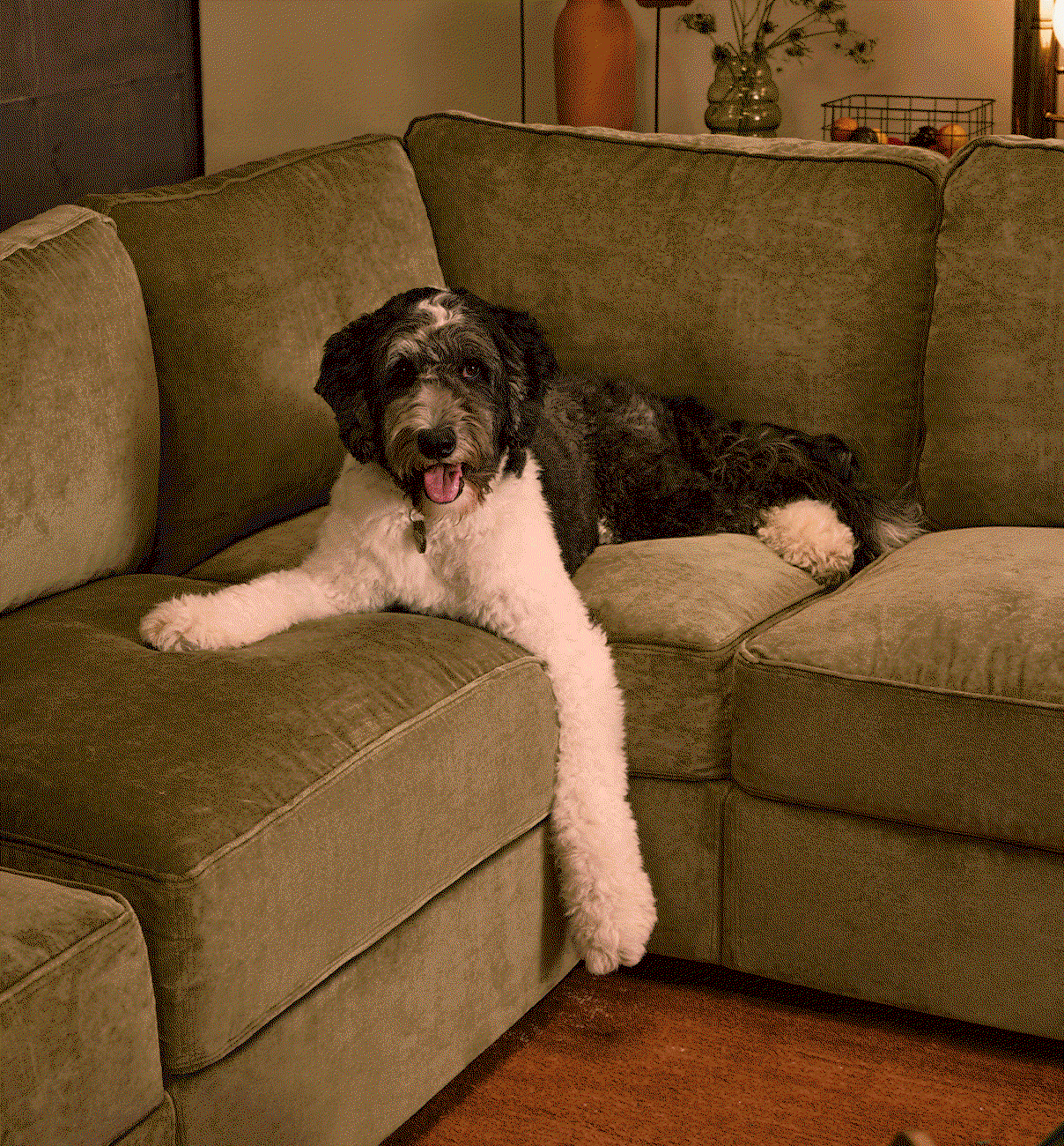 Flash Sale | 40% Off Seating | SHOP NOW >>