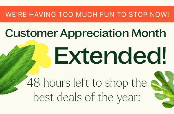 All Flash Deals BACK: Extended