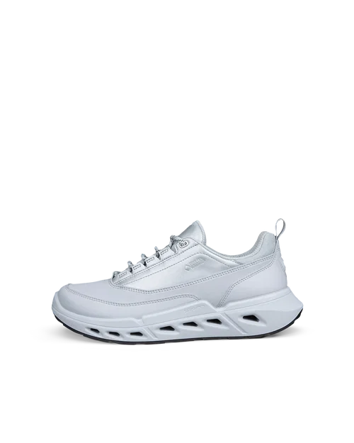 ECCO Biom 720 Gore-Tex