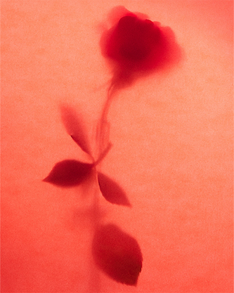 Vincent Gapaillard