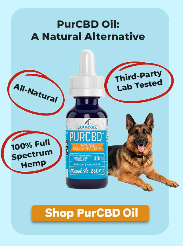 Shop Innovet PurCBD Oil