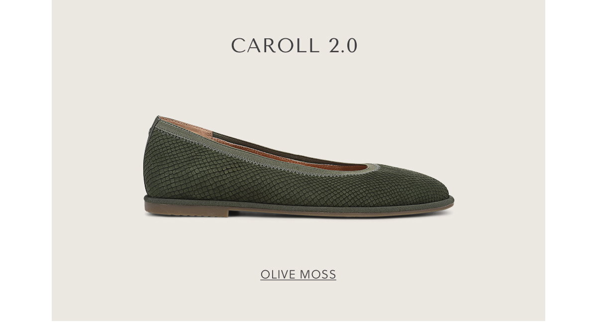 Caroll 2.0