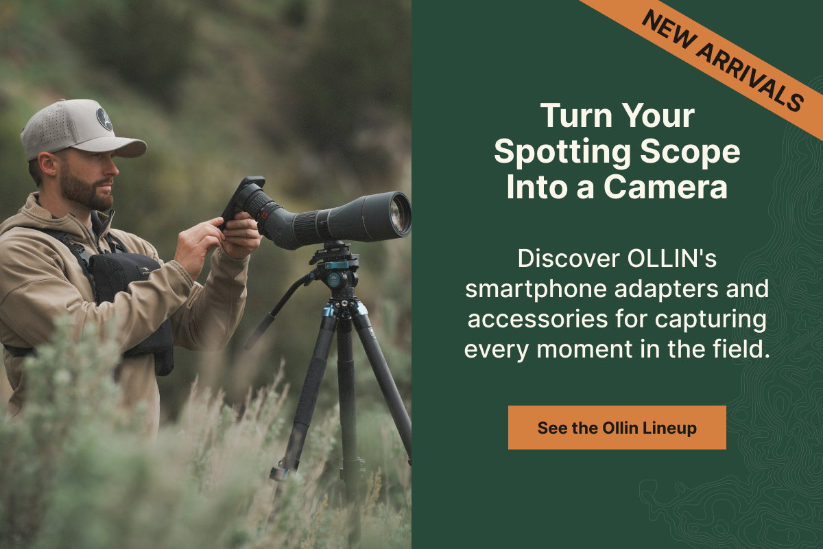 Shop New Arrivals from Ollin