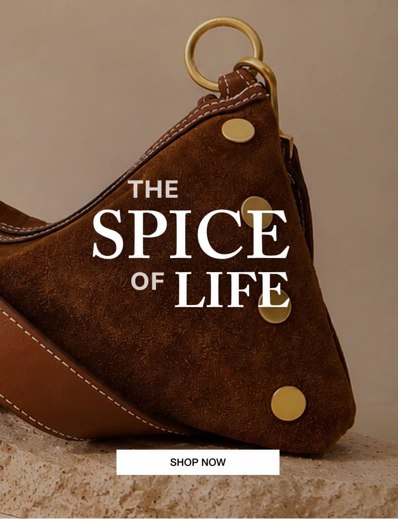 Hero image featuring the Hammitt Ace Med in Cinnamon Suede, crafted from rich Italian suede with leather trim, brushed gold hardware, signature rivets, and campaign text reading "The Spice of Life."