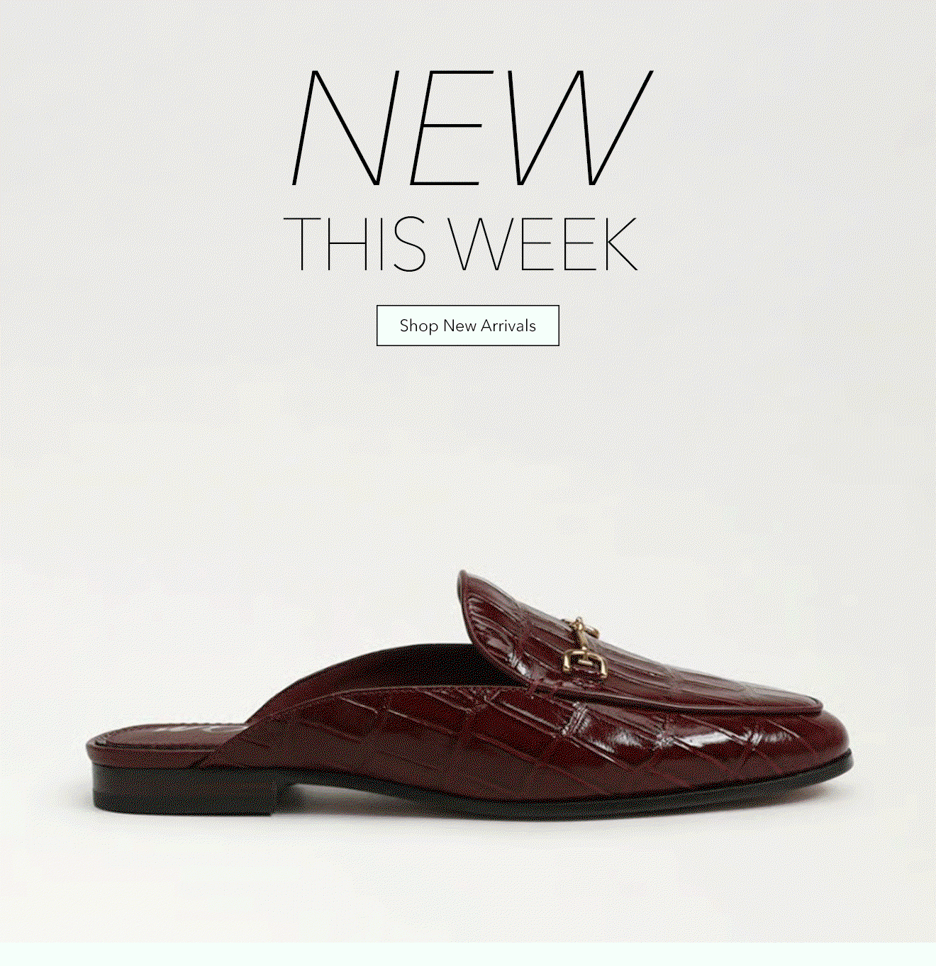 NEW THIS WEEK | Shop New Arrivals