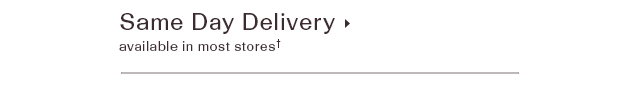 Same Day Delivery