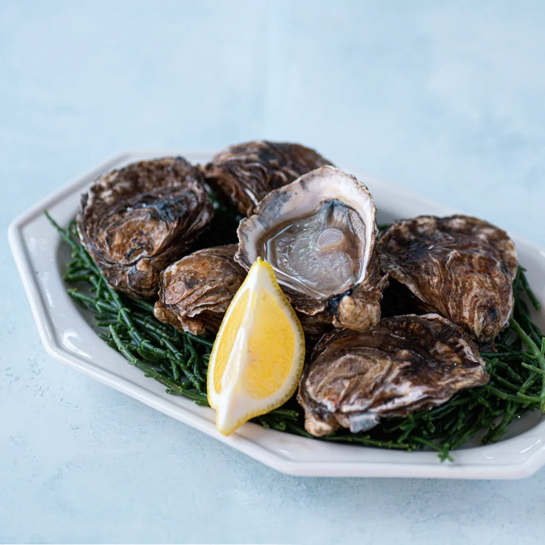 Image of English Oysters - Six Oysters