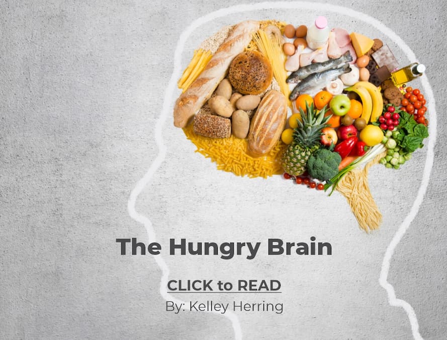 Kelley Herring, Hungry Brain