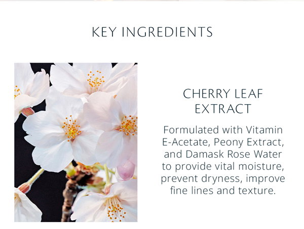 CHERRY LEAF EXTRACT
