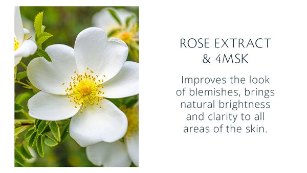 ROSE EXTRACT & 4MSK