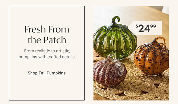 Fresh From the Patch | Shop Fall Pumpkins >