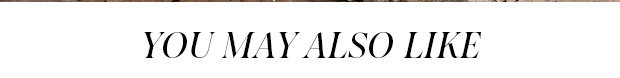 YOU MAY ALSO LIKE
