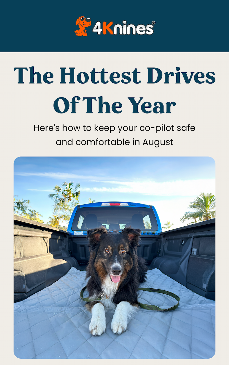 The Hottest Drives Of The Year