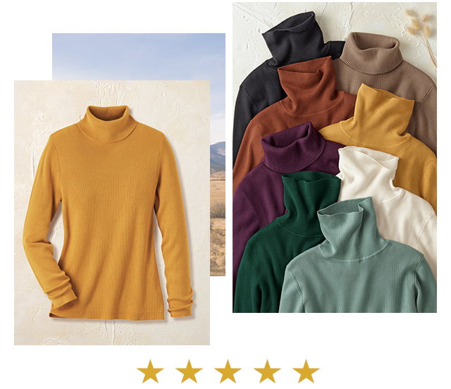 Classic Ribbed Turtleneck grid
