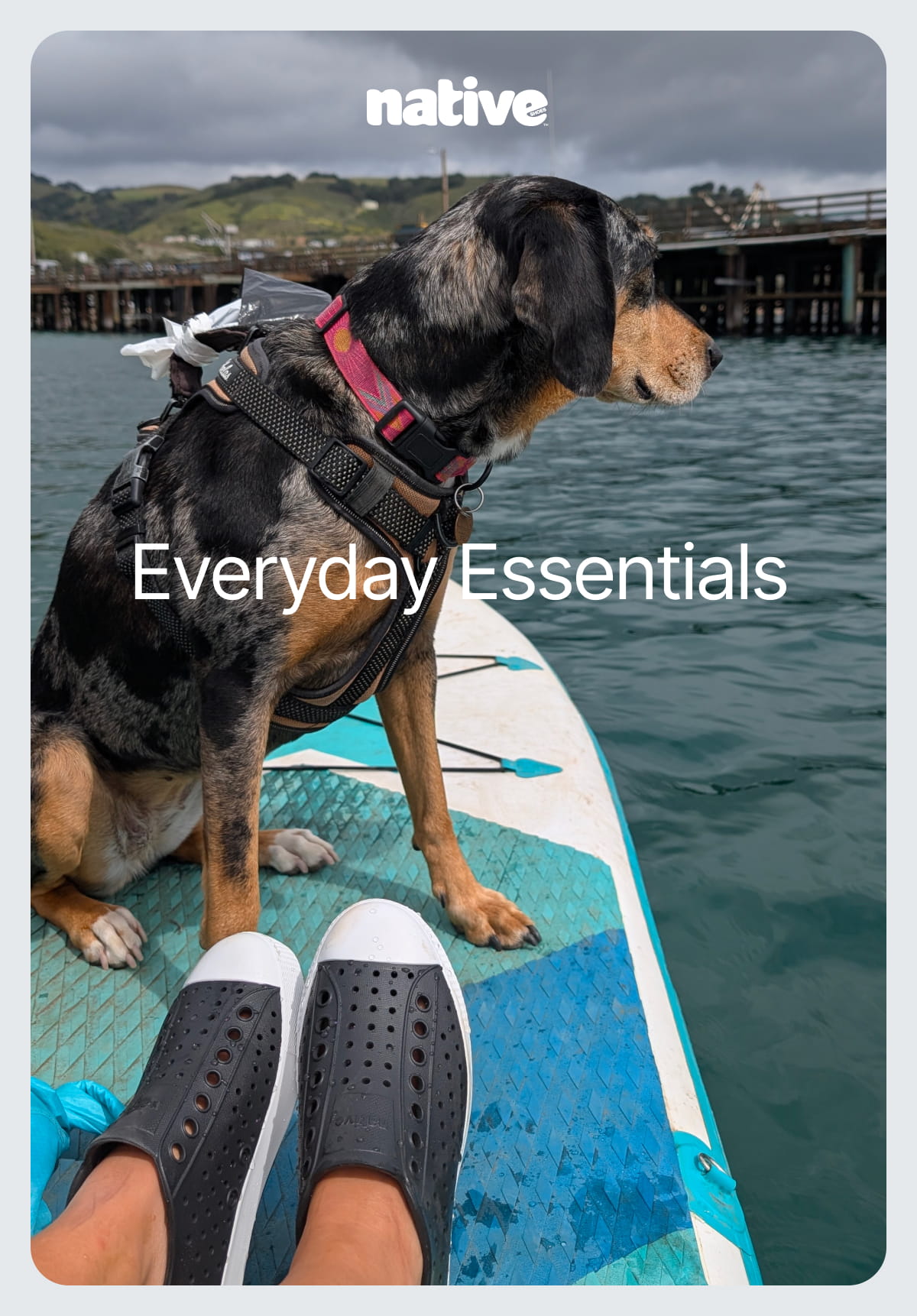everyday essentials