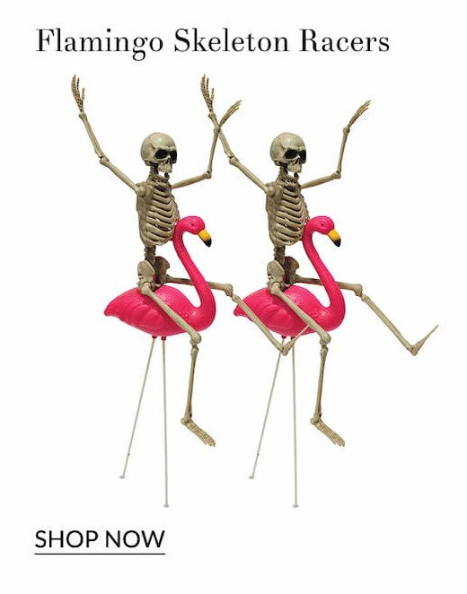 Flamingo skeeton racers