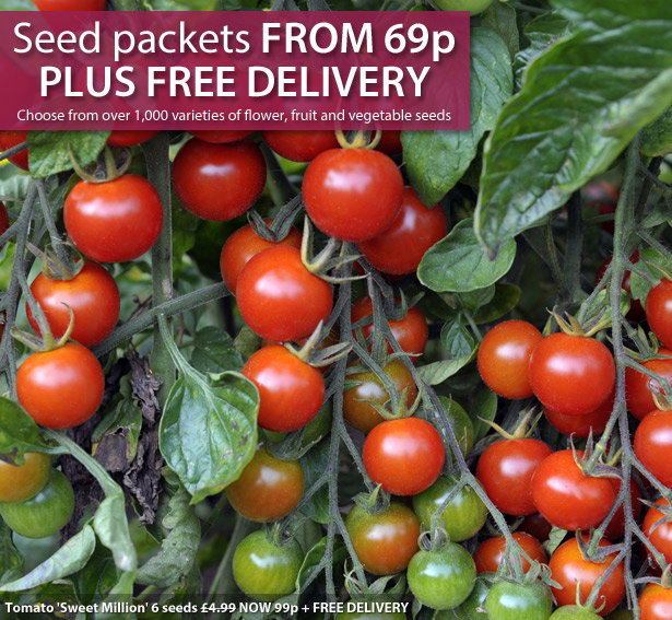 Seed sale