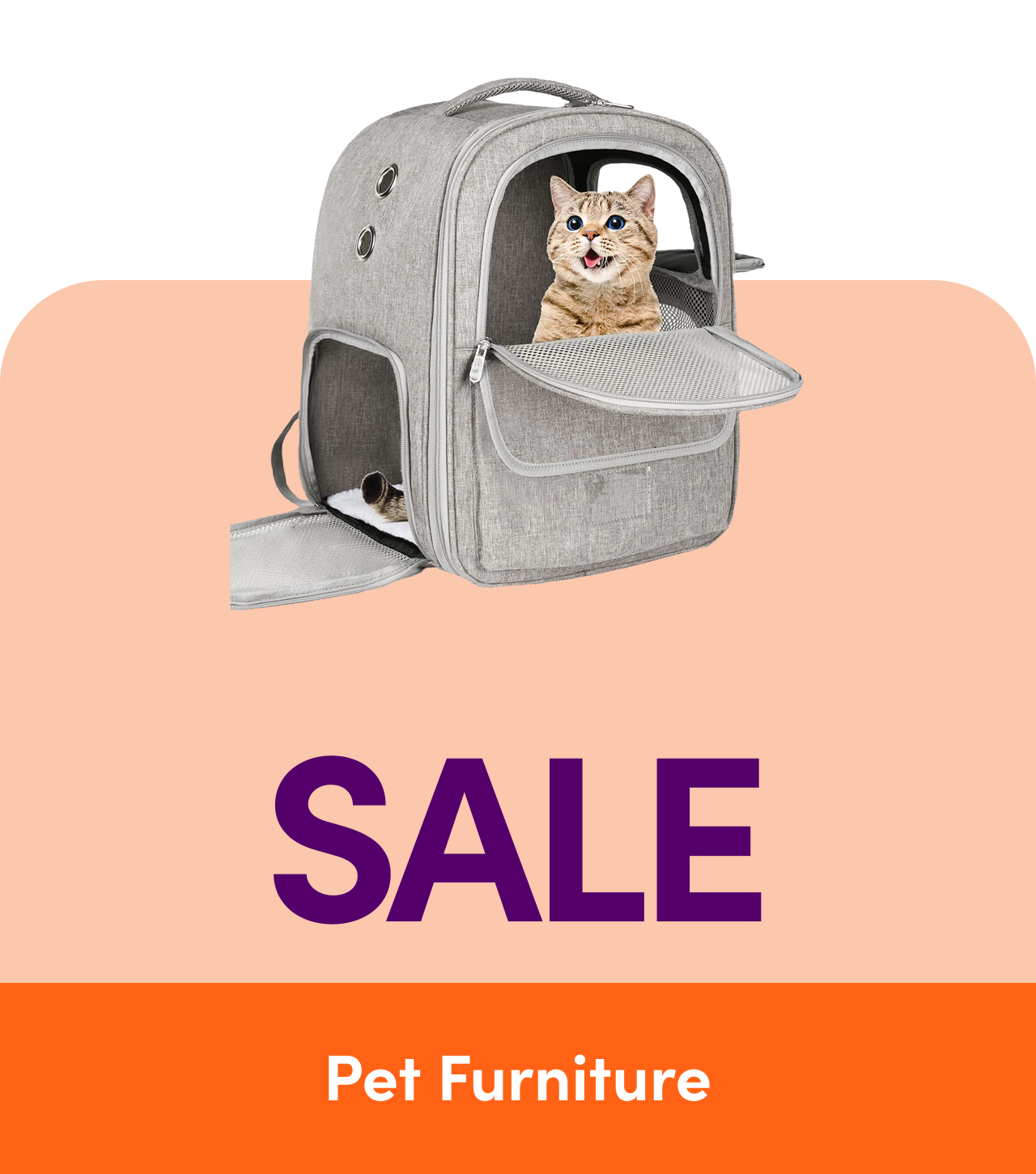 Pet Furniture