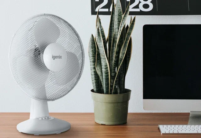 Portable Fans: Just In