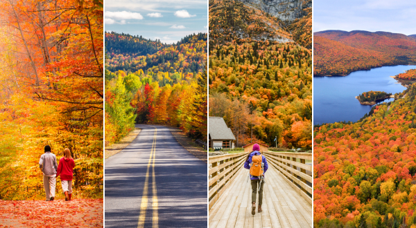 350€ de rabais sur votre road trip d'automne