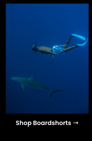 Shop Boardshorts