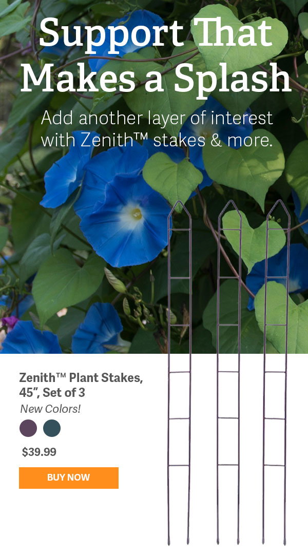 Support that Makes a Splash - Add another layer of interestg with Zenith stakes & more