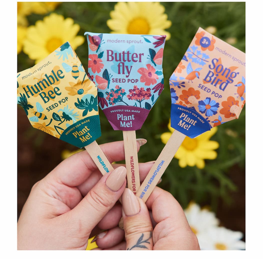 Any Time Planting: Tip: You can plant wildflower seeds anytime of the year (as long as the ground isn’t frozen)! The seeds actually benefit from the cold before their first blooms. Here are some top plant now/ enjoy later wildflower gardening picks.
