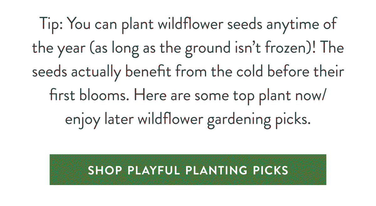 Any Time Planting: Tip: You can plant wildflower seeds anytime of the year (as long as the ground isn’t frozen)! The seeds actually benefit from the cold before their first blooms. Here are some top plant now/ enjoy later wildflower gardening picks. SHOP PLAYFUL PLANTING PICKS >