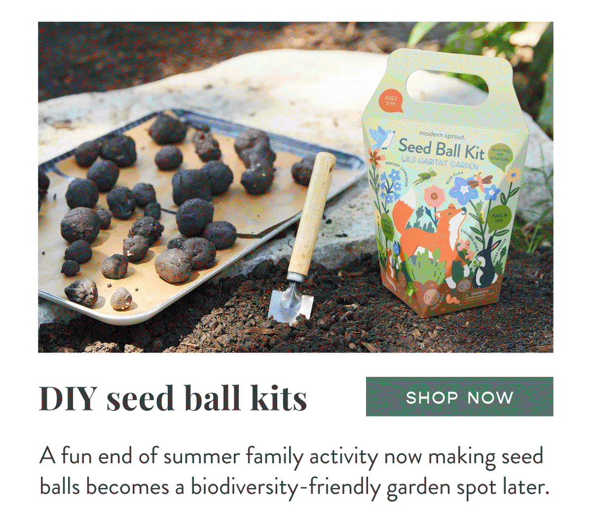 DIY Seed Ball Kits: A fun end of summer family activity now making seed balls becomes a biodiversity-friendly garden spot later. SHOP NOW >