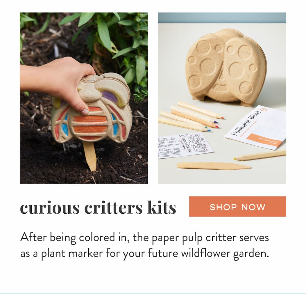 Curious Critters Kits: After being colored in, the paper pulp critter servesas a plant marker for your future wildflower garden. SHOP NOW >