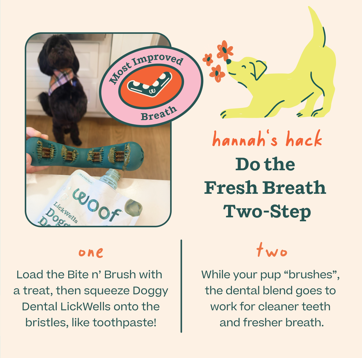 Shop Dental Wellness 