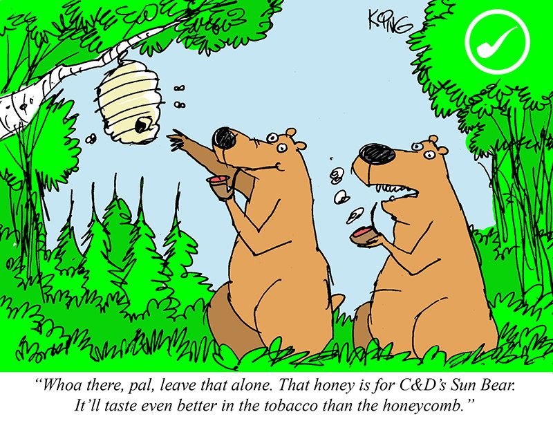 Daily Reader Comic by Jerry King