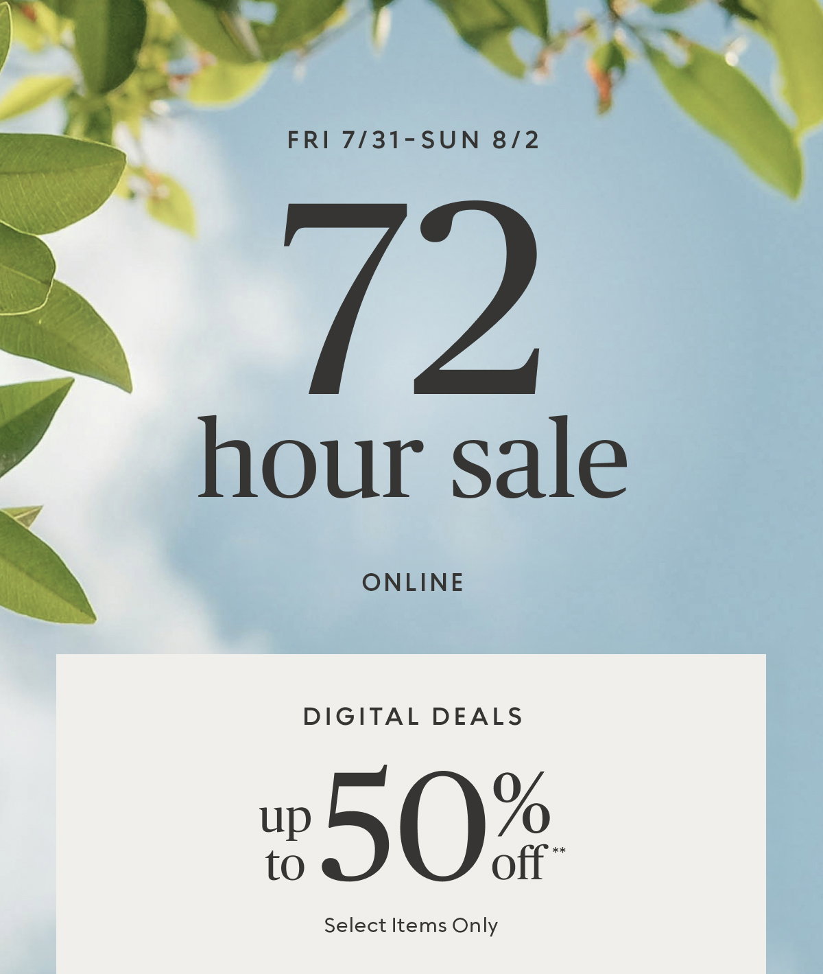 Shop Now