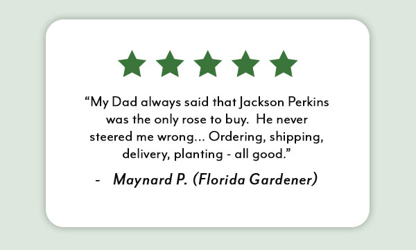 5-Star Review