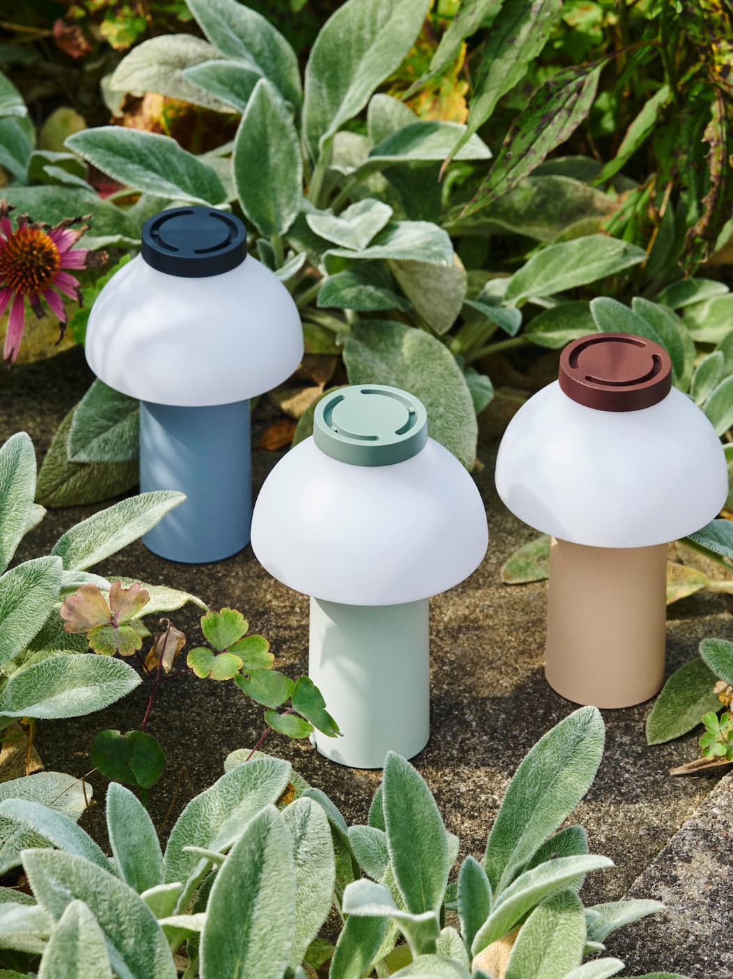 category_image_lighting