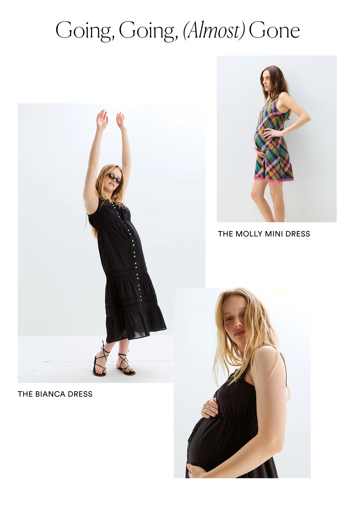 SHOP NOW >>