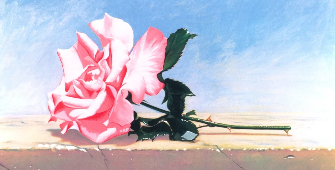 artnet