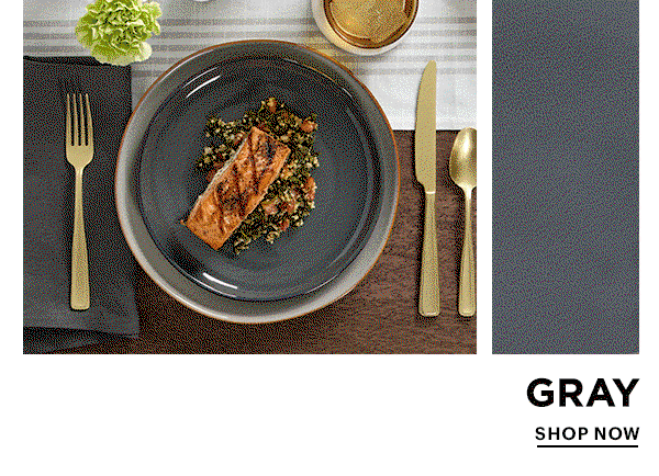 GRAY  SHOP NOW
