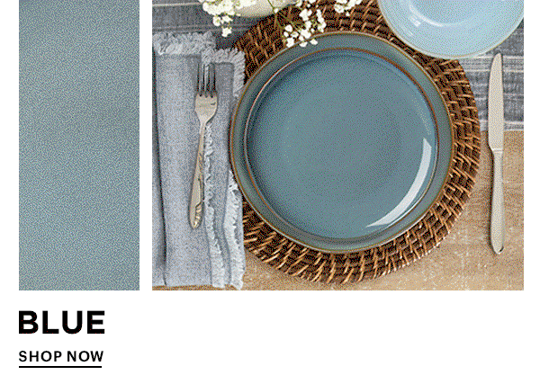 BLUE  SHOP NOW