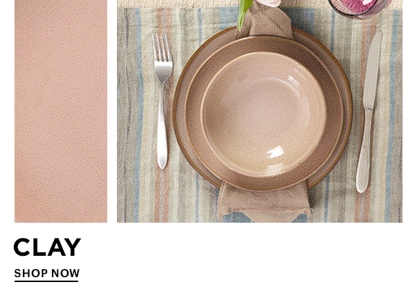 CLAY  SHOP NOW