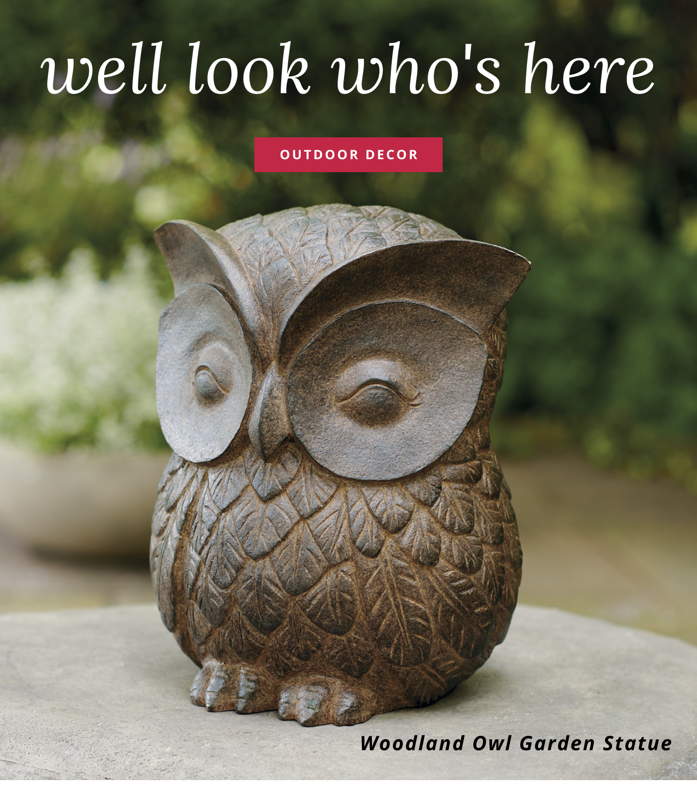 Shop Outdoor Decor