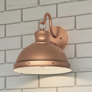 Jameson 1 Light 12 inch Aged Copper Outdoor Wall Lantern by Quoizel