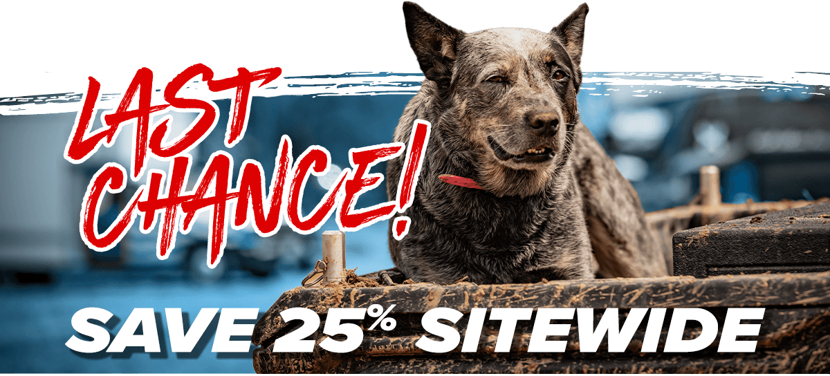 Last chance! Save 25% sitewide.