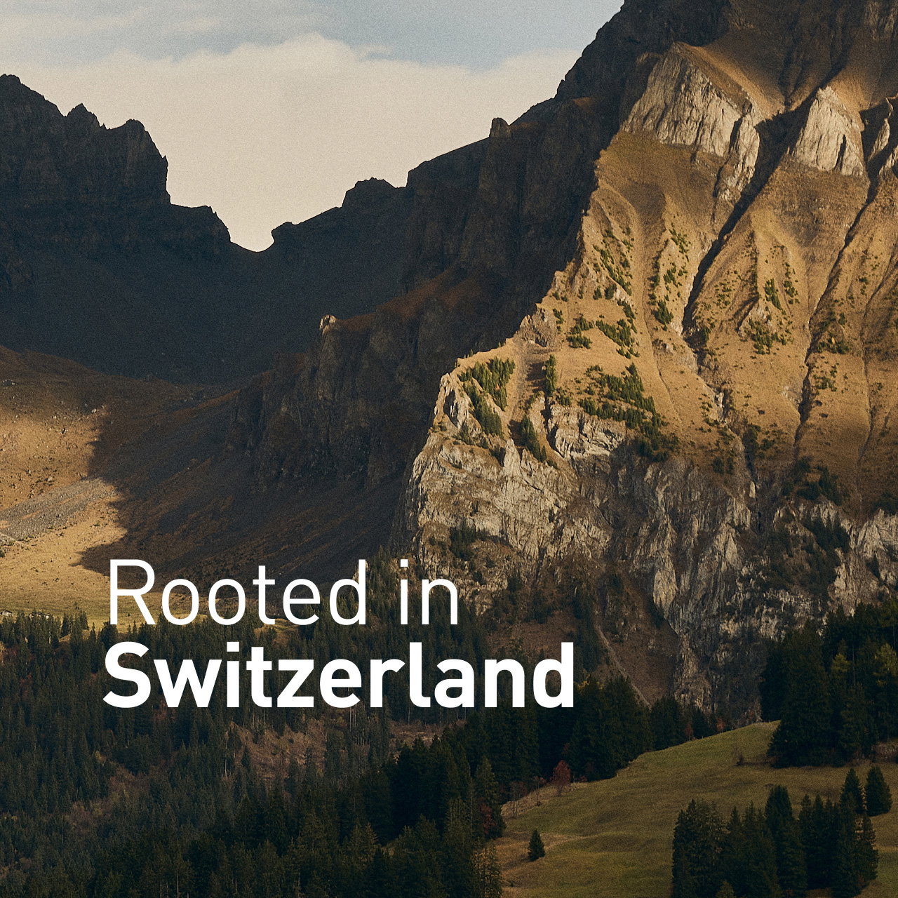 "Rooted in Switzerland"