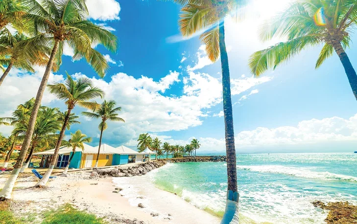 Caribbean beach with palm trees, bright blue waters and colourful beach houses.