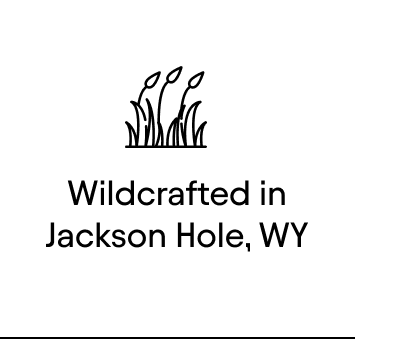 Wildcrafted in Jackson Hole, WY