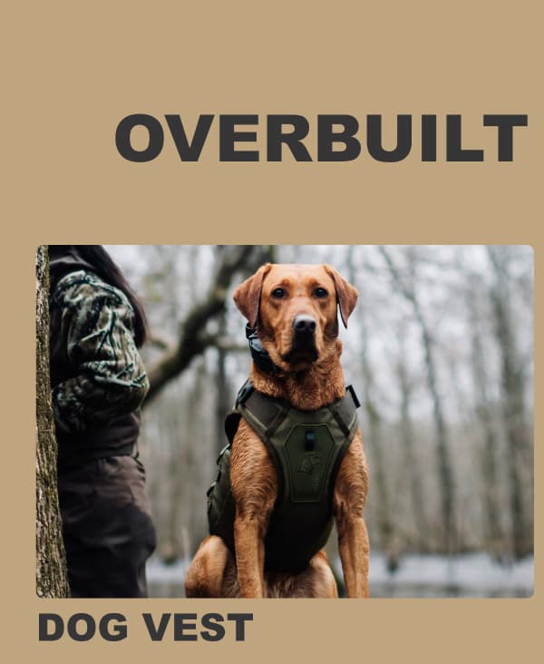 Dog Vest