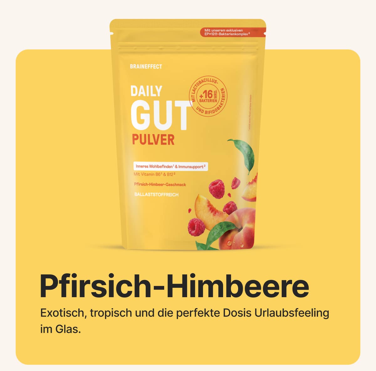 Daily Gut Pulver