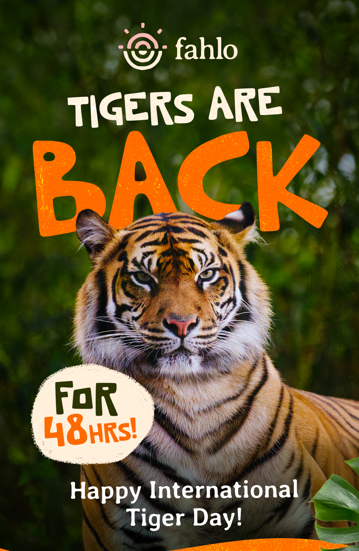 Happy International Tiger Day! In honor of this special day, Fahlo brought these miracle cats back for a flash so you can track a real tiger and celebrate the innate gifts they bring to our collective Earth.